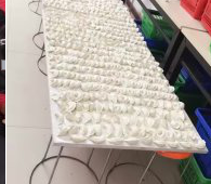 冬至來臨，公司員工一起來包＂扁食＂